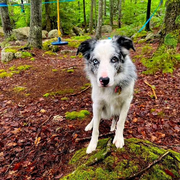 Meet your Posher, DevereauxCassie - Picture 8 of 12